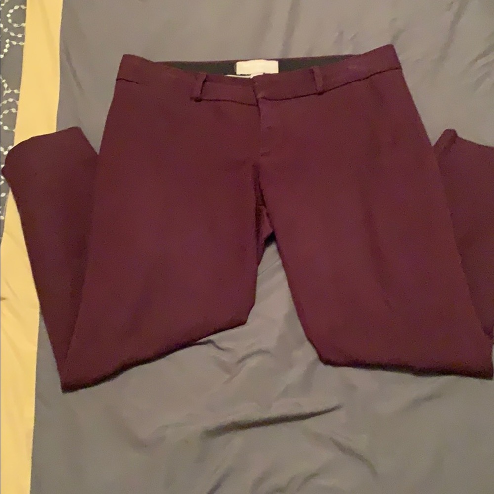 Maroon crop pant
